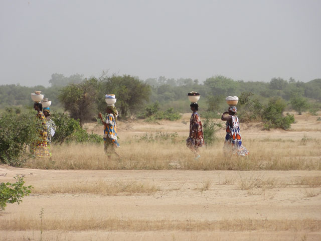 Women going to the market