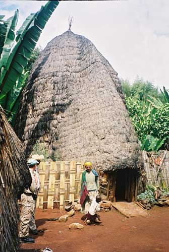 Dorse hut