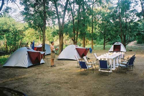 Camp site