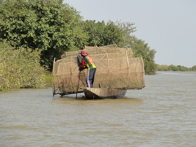 Boat on the Niger river