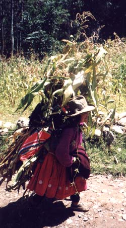 Working woman on in a village outside of Huaraz. Picture taken on the hike to Willcahuain